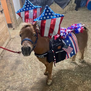 tracey added a photo of their purchase