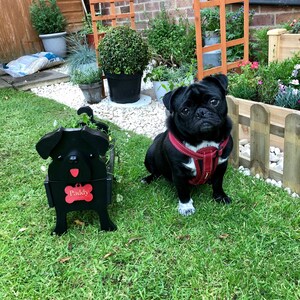 Sandra added a photo of their purchase