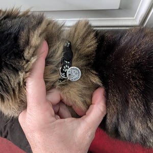 Chrisdee added a photo of their purchase