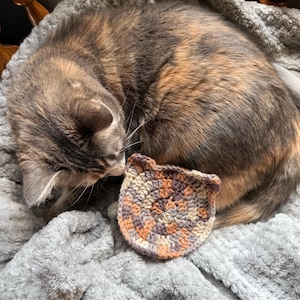 Amber heeft een foto van de aankoop toegevoegd