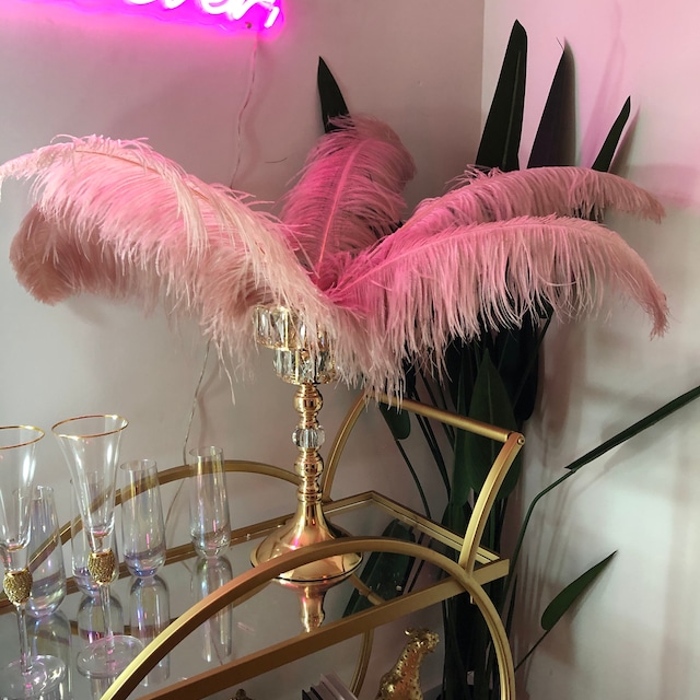 Ballinger Light Pink Ostrich Feathers - 12pcs 24-26inch Feathers Making Kit  Tall Ostrich Feathers Bulk for Vase,Wedding Party Centerpieces and Home