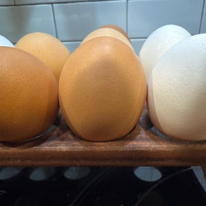 Steve adicionaram uma foto da sua compra