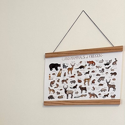 Picture Hanger Frame Magnetic Wood 12 Sizes - Etsy