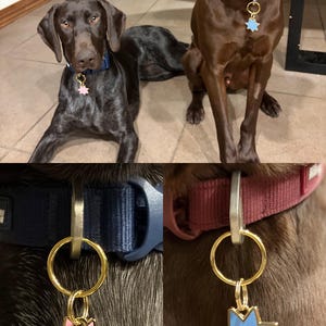 Tess added a photo of their purchase