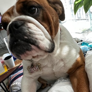 Heather さんが購入した商品の写真を追加しました