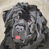 Great Dane Pattern Print Blanket