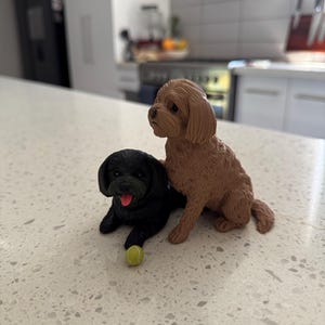 Amelia added a photo of their purchase