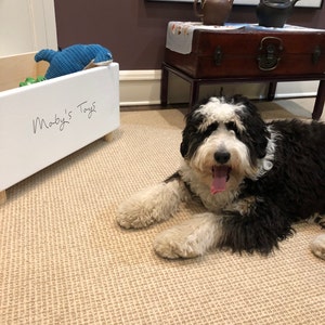 Debra added a photo of their purchase