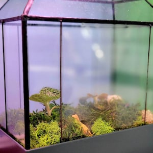 Dusty added a photo of their purchase