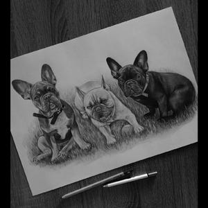 Amy added a photo of their purchase