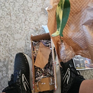 Ariel added a photo of their purchase