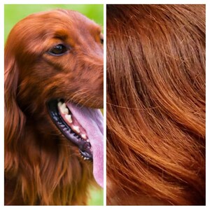 S added a photo of their purchase