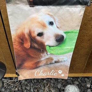 SUE added a photo of their purchase