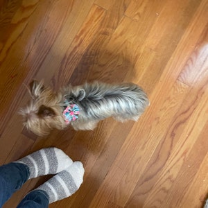Tina added a photo of their purchase