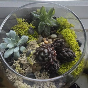 Trisha added a photo of their purchase