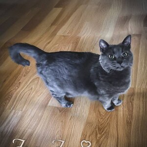 Martha added a photo of their purchase