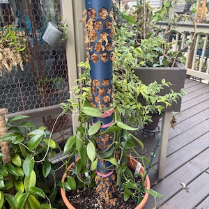 Kevin added a photo of their purchase