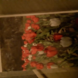 Colleen added a photo of their purchase