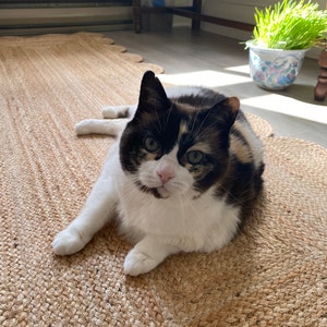 tessacats added a photo of their purchase
