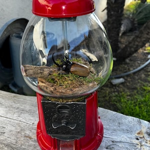 Deb added a photo of their purchase