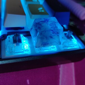 sof added a photo of their purchase