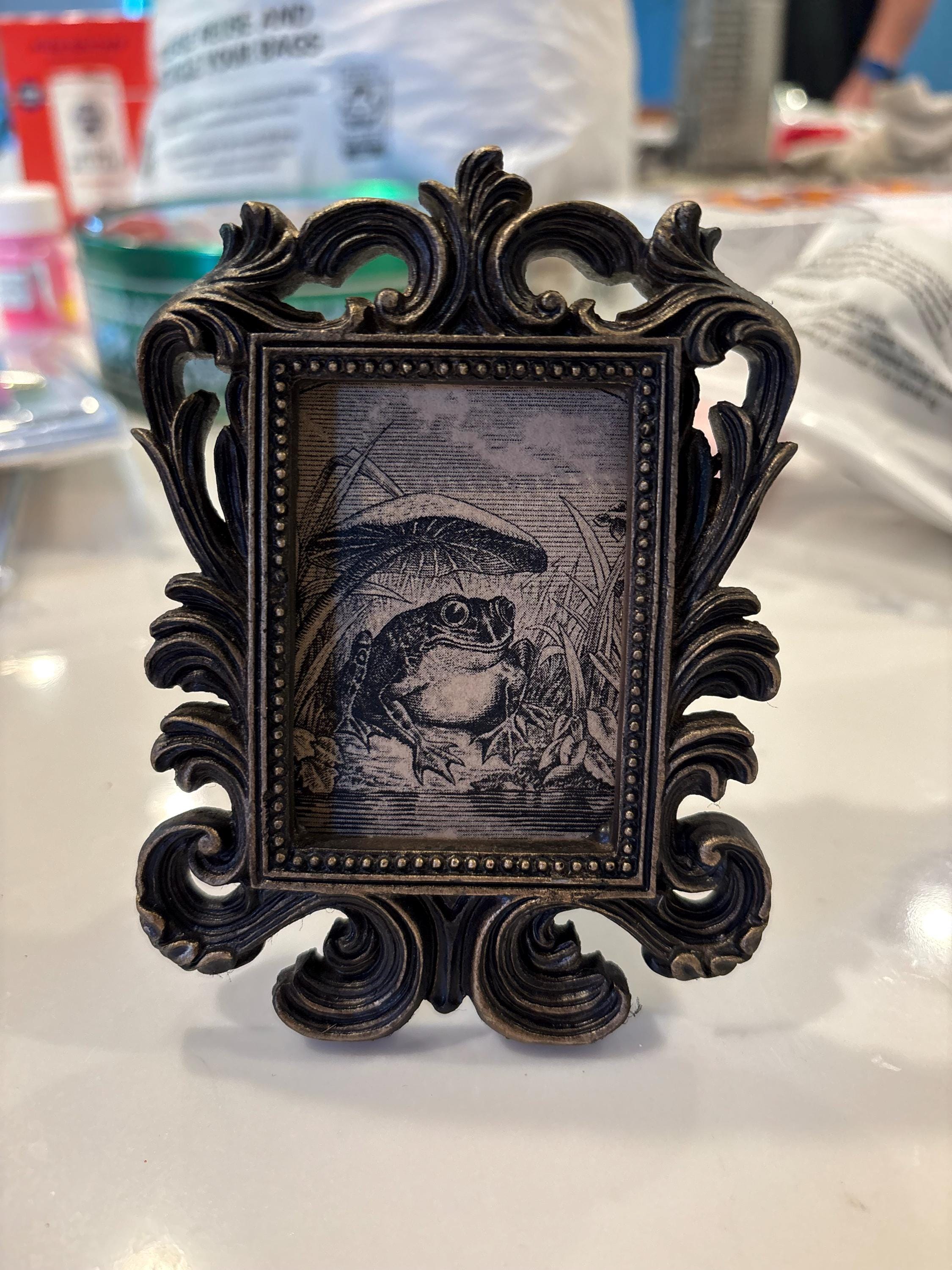 Vintage Happy Frog Print in Baroque Frame - Antique Funny Frog Art Framed In Rectangular Scrollwork Frame