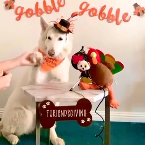 Skye added a photo of their purchase