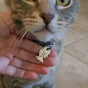 Tracy added a photo of their purchase