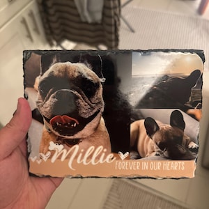 Jena added a photo of their purchase