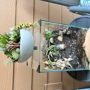 Laurie added a photo of their purchase