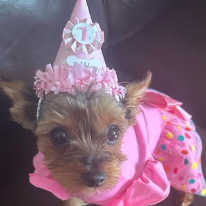Janet added a photo of their purchase