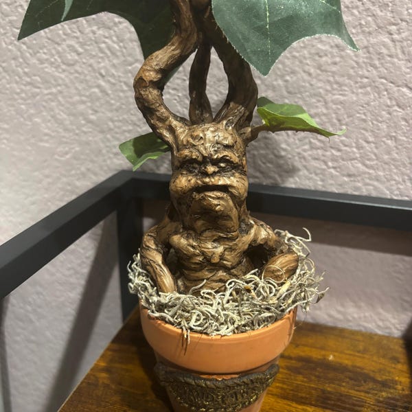 Tree Man Face - Etsy