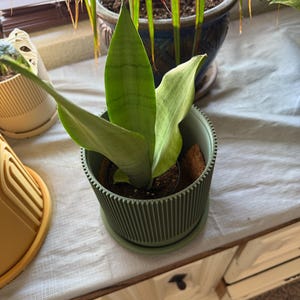 Michelle added a photo of their purchase
