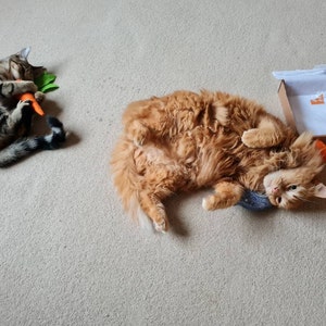 Magnus added a photo of their purchase