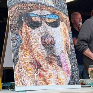 Shelley heeft een foto van zijn/haar aankoop toegevoegd