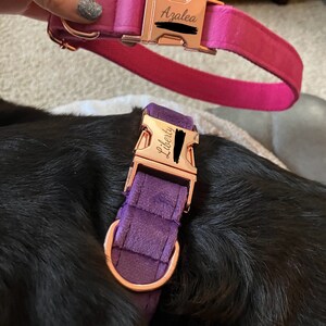 Amy added a photo of their purchase