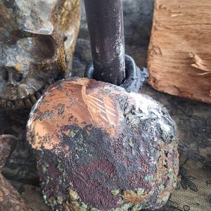 devon added a photo of their purchase