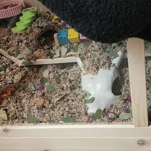 Brittanie ha aggiunto una foto del proprio acquisto