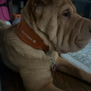 Nevaeh heeft een foto van de aankoop toegevoegd