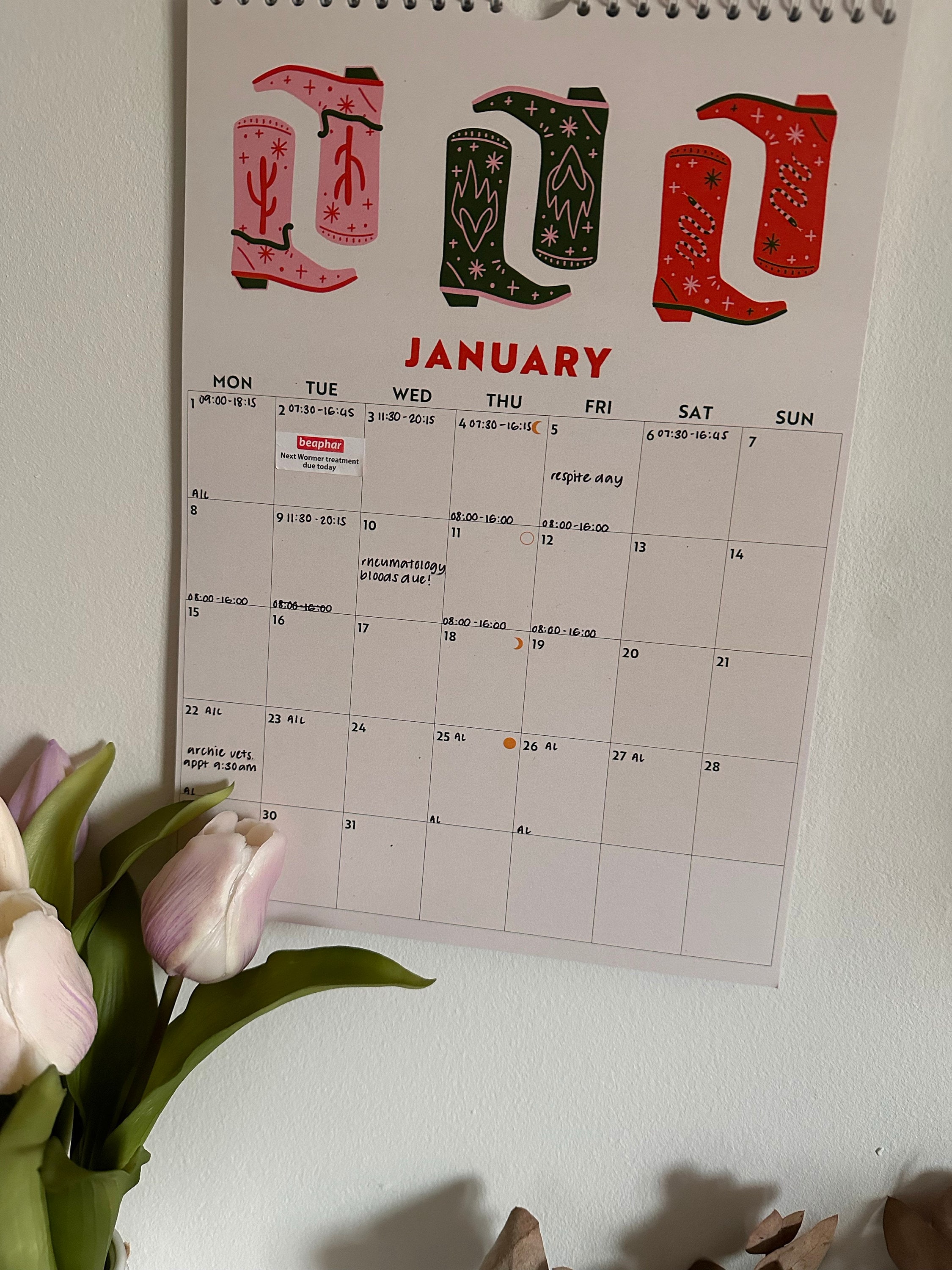 2025 Year Calendar Desert Dreams | A4 Monthly Planner | Boho Art Planner | 12 Month Hanging Calendar