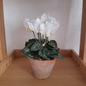 Julia added a photo of their purchase