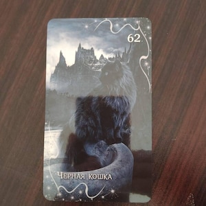 Hokuma added a photo of their purchase