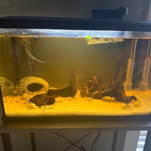 Brooke hat ein Foto des gekauften Artikels hinzugefügt