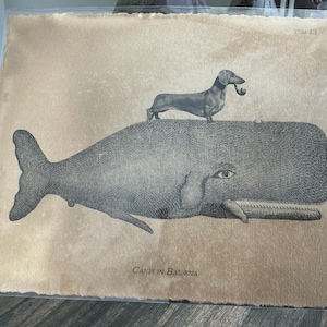 Jaime added a photo of their purchase