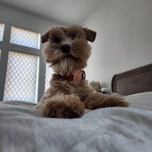 Day adicionaram uma foto da sua compra