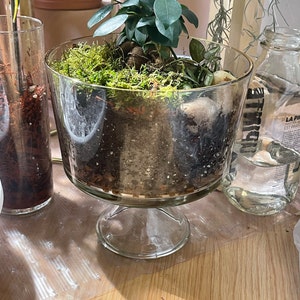 Ninon a ajouté une photo de son achat