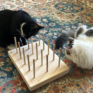 K added a photo of their purchase