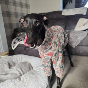 Lucy added a photo of their purchase