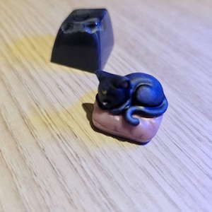 Pericardium ha añadido una foto de su compra