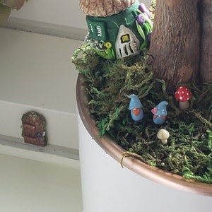 David added a photo of their purchase